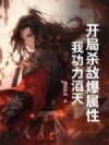 开局杀敌爆属性,我功力滔天