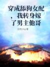 穿成舔狗女配,我转身嫁了男主他哥
