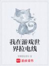 我在游戏世界拉电线