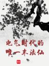 电气时代的唯一末法仙!